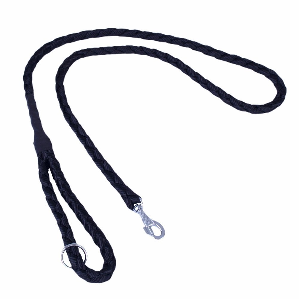 Doggie Braided Webbing Dog Leash 2x140cm