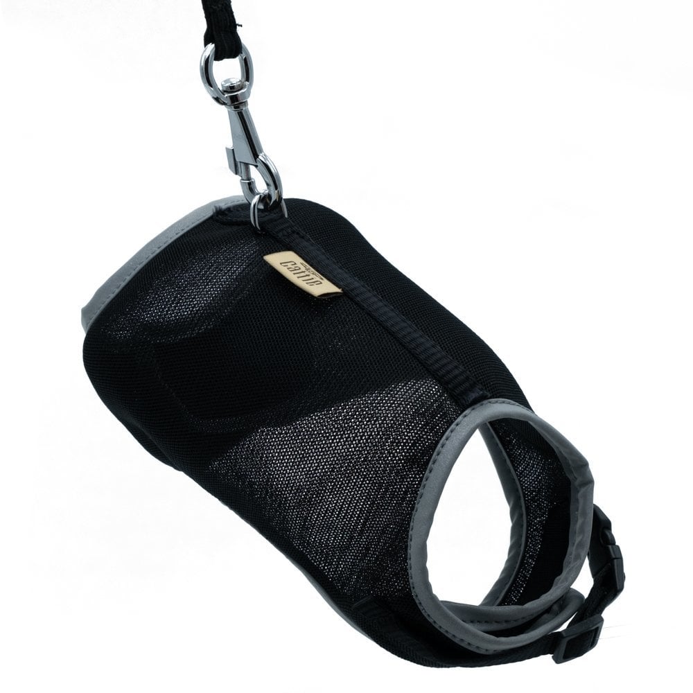 Cattie Lastikli Kedi Gezdirme Tasması 1x25-35cm