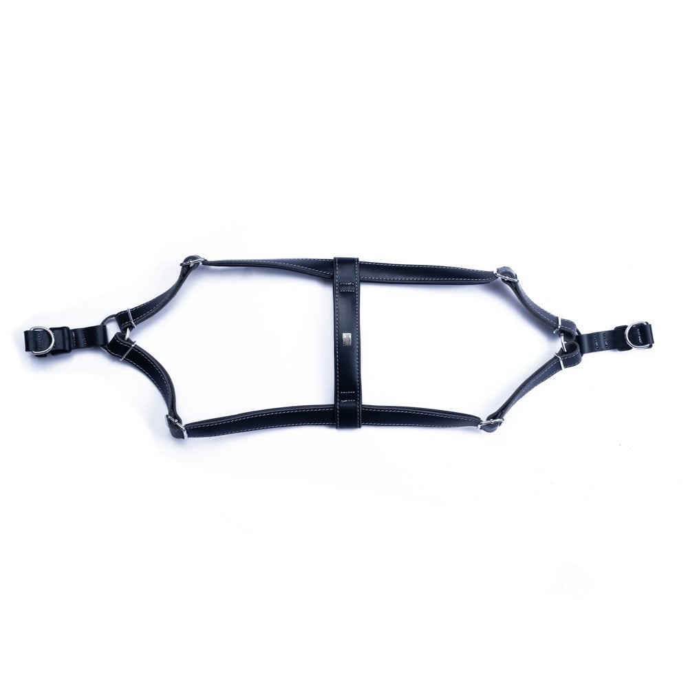 Doggie Ronin Deri Köpek Göğüs Tasması M 45-55cm