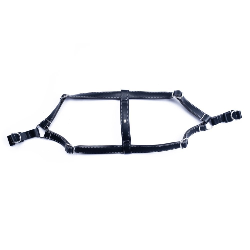 Doggie Ronin Deri Köpek Göğüs Tasması XL 65-75cm