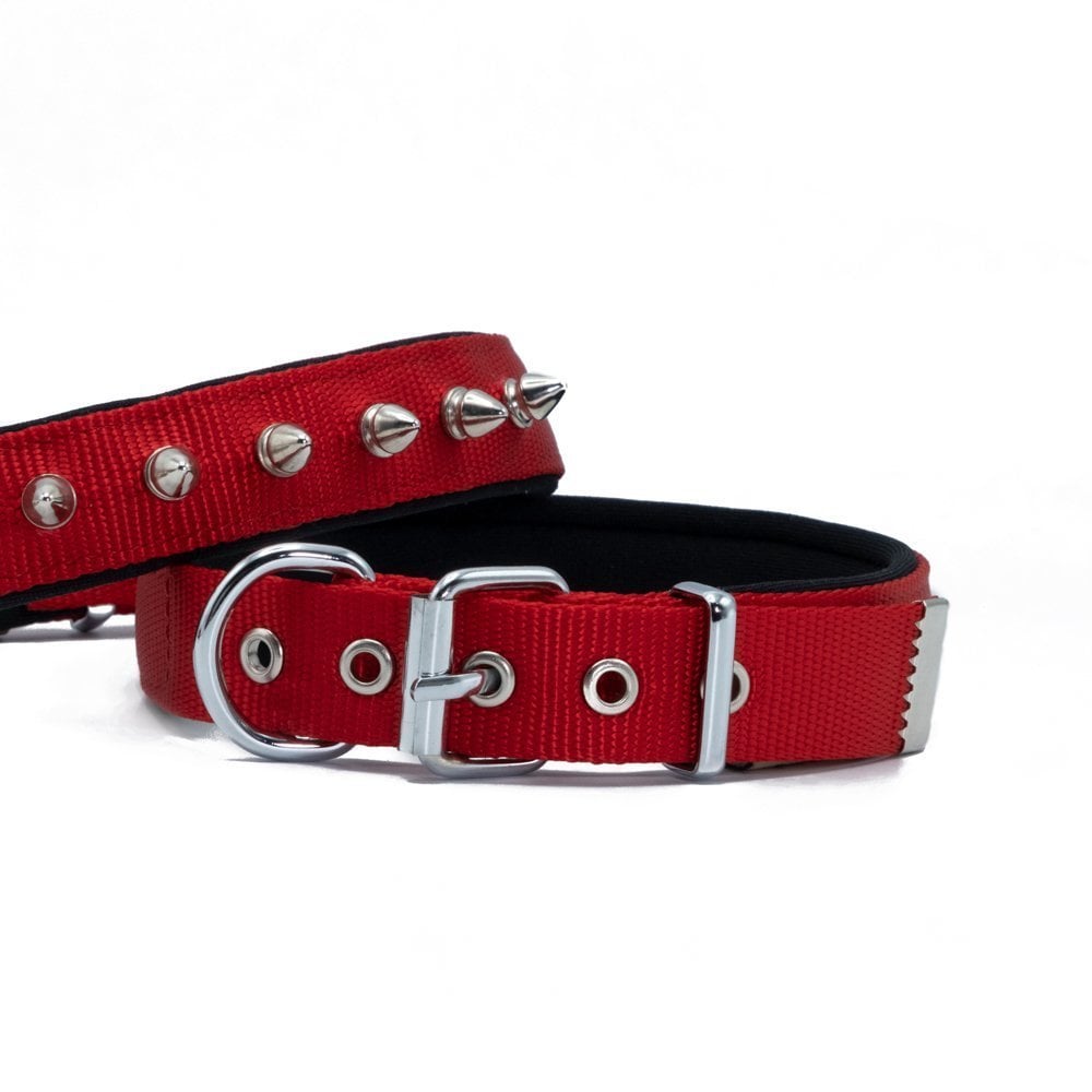 Doggie Çivili Dokuma Köpek Tasması 2.5x37-45cm